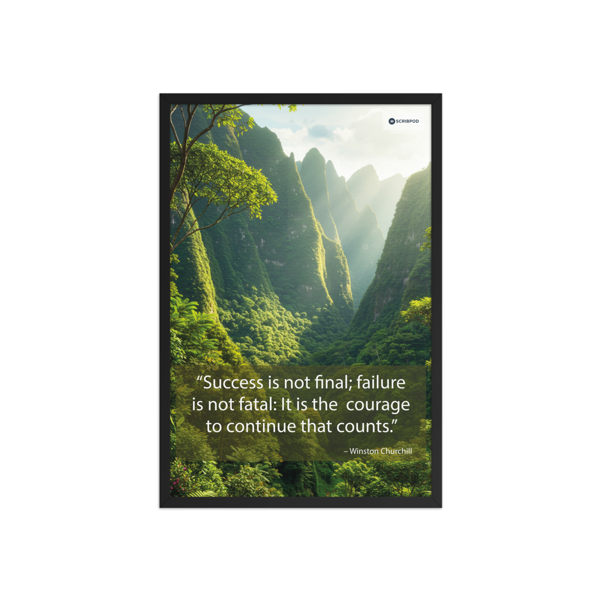 Framed poster: Success is not final