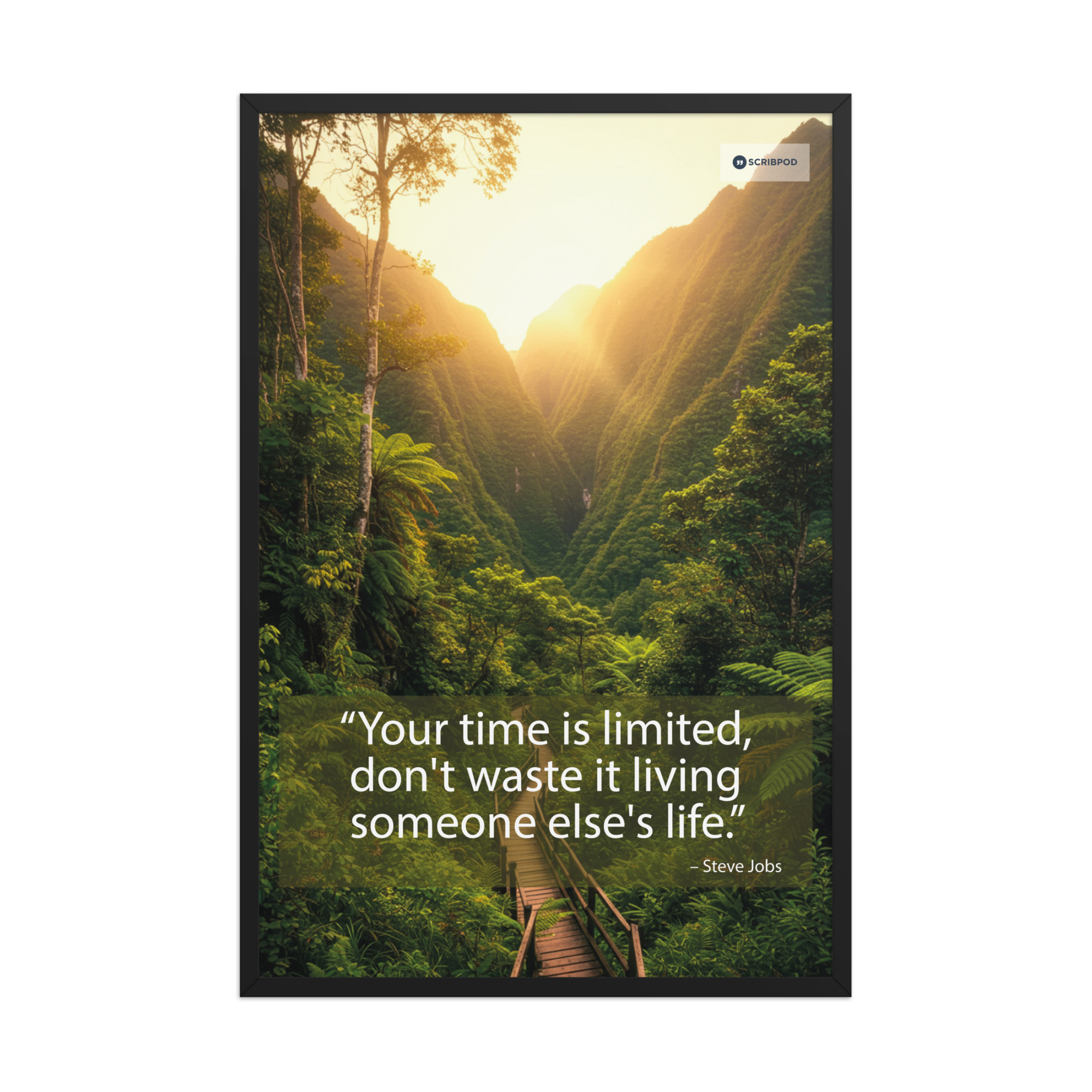 Framed poster: Your time is limited