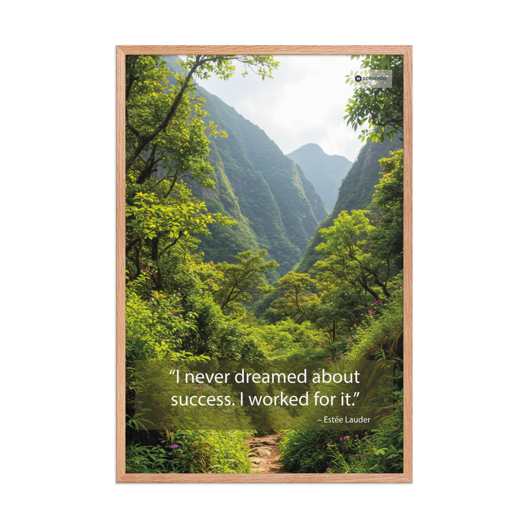 Framed poster: I never dreamed about success